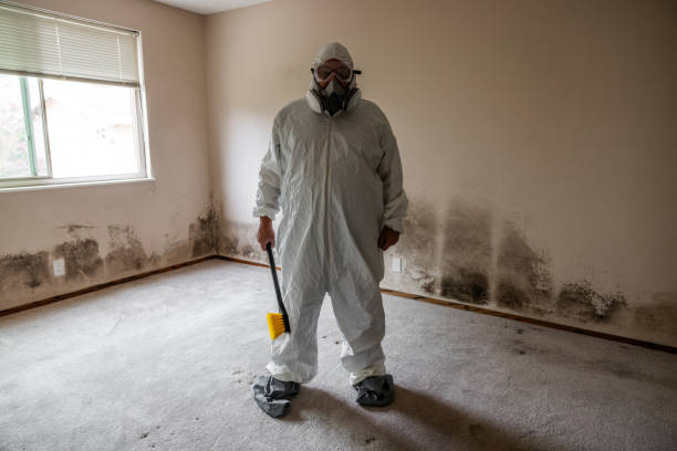 Why You Should Choose Our Mold Remediation Services in Telford, PA